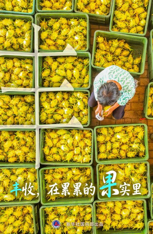 桑植网红早餐店在哪里,寻味之旅从这里开始