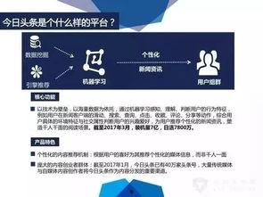 今日头条云算术,揭秘大数据时代的智能计算新篇章