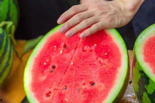 兰州高校吃瓜视频,揭秘校园生活趣味瞬间