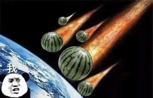 拍照吃瓜文案句子,揭秘拍照吃瓜的趣味瞬间