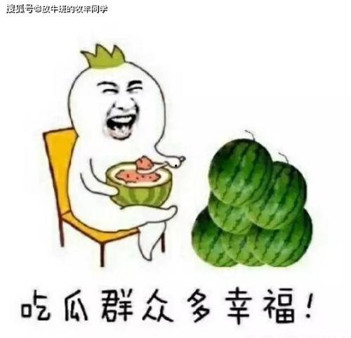 房间吃瓜,揭秘房间里的“吃瓜”趣事