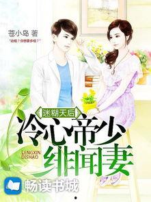 娱乐吃瓜酱妻子小说阅读,妻子背后的爱情故事